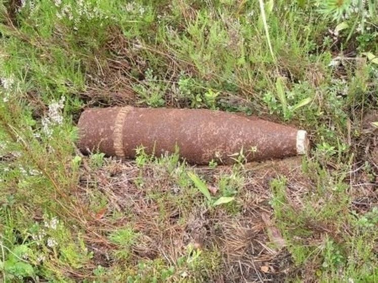 В Ярцевском районе нашли очередной снаряд времен Великой Отечественной войны