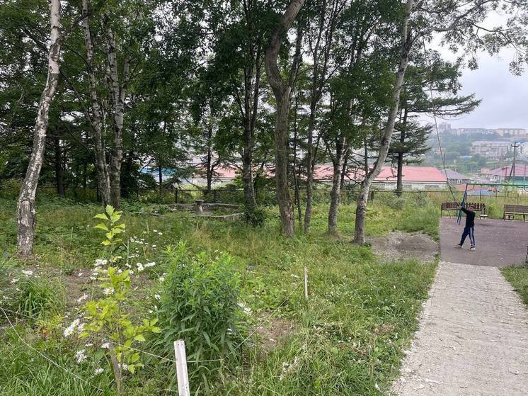 В Корсакове оградили опасный и захламленный пруд у детской площадки