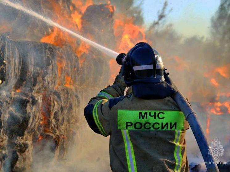 Крупный пожар в Славяносербском округе ликвидировали сотрудники МЧС ЛНР