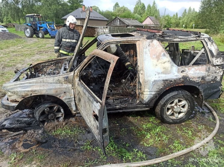 В Брянской области потушили очередной загоревшийся автомобиль