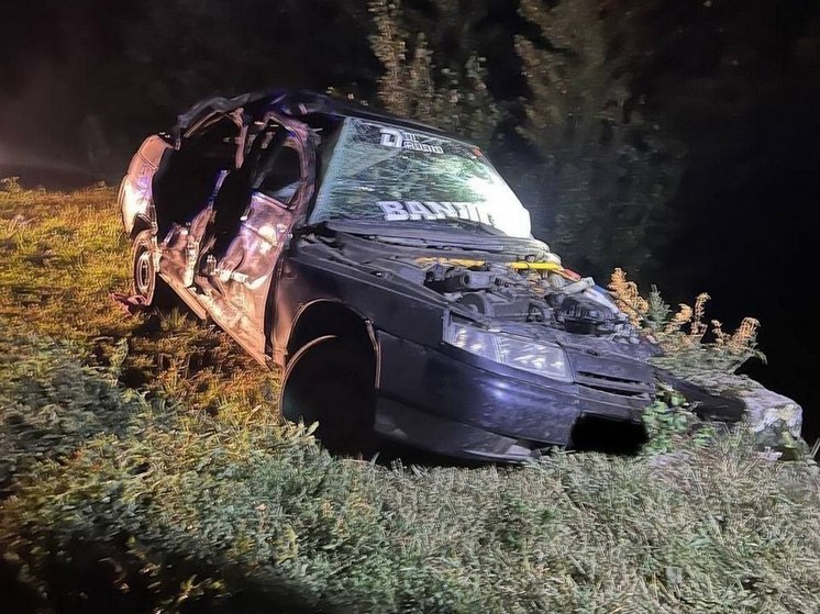 В аварии под Воронежем погибли 18-летняя девушка и 23-летний водитель