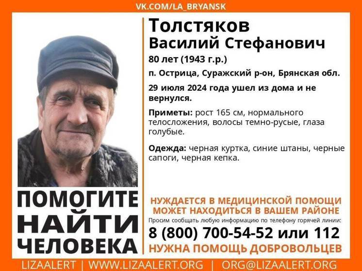 В Брянской области ищут пропавшего 80-летнего Василия Толстякова