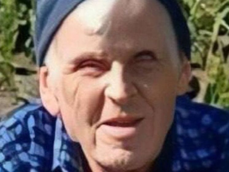 88-летнего грибника ищут в Братском районе