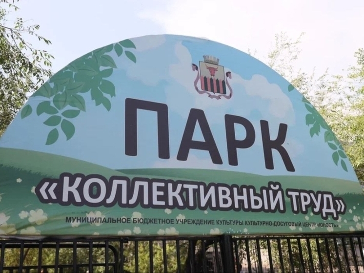 Осипов поручил озеленить парк «Коллективный труд» в Чите