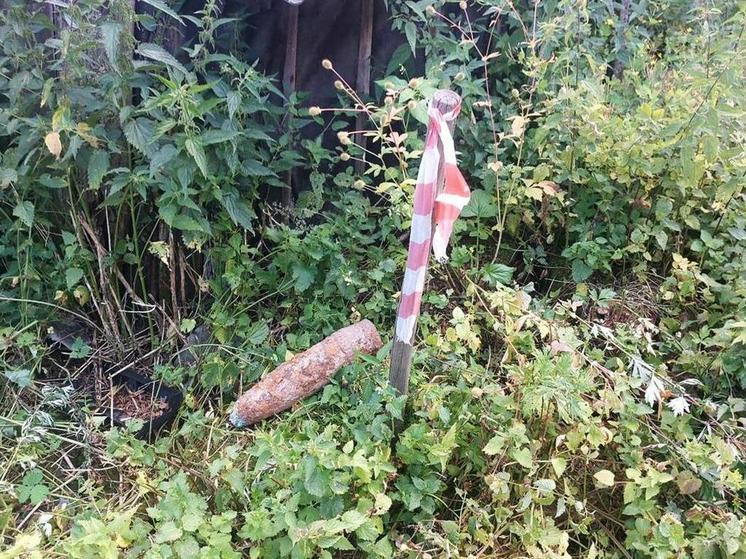 В Рузском округе обнаружили боеприпас времен Великой Отечественной