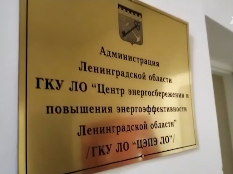 Экс-директора Центра энергосбережения Ленобласти осудили за взятку