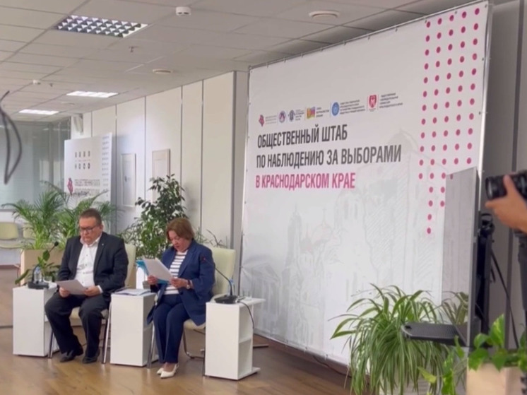 Эксперты кубанского выборного штаба рассказали о настроениях в обществе накануне муниципальных выборов