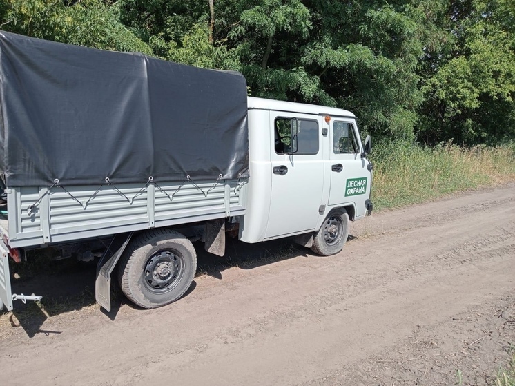 В Курской области провели более 1500 противопожарных рейдов