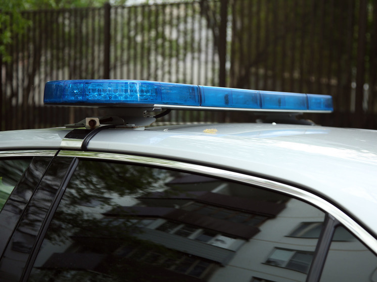 Подозреваемого в краже задержали росгвардейцы в магазине Подмосковья