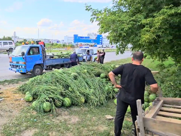 20 тонн арбузов изъяли у торговцев-нелегалов в Новосибирске