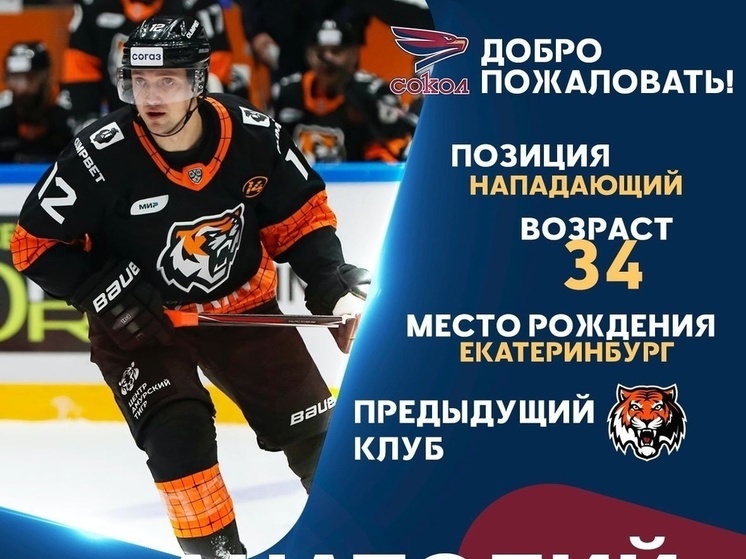 В красноярский ХК «Сокол» перешел форвард КХЛ Никонцев