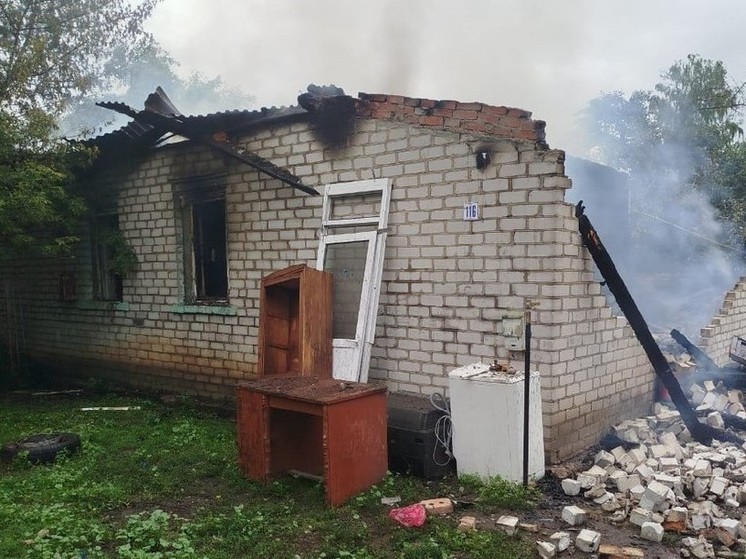 В Гремяках Пронского района многодетная семья осталась без дома после пожара