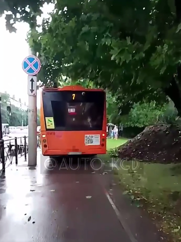 Калининградские сотрудники ГИБДД нашли водителя автобуса, ездившего по тротуару