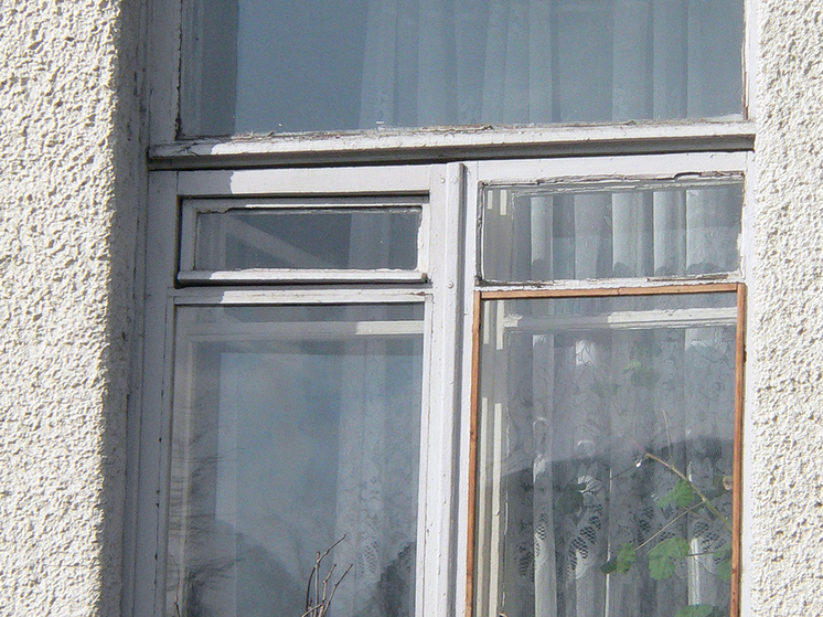 В Петербурге мигранта обвинили в изнасиловании спавшей хозяйки квартиры на первом этаже