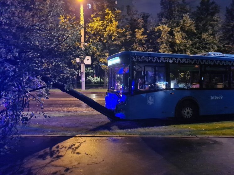 В Москве пассажирский автобус врезался в дерево