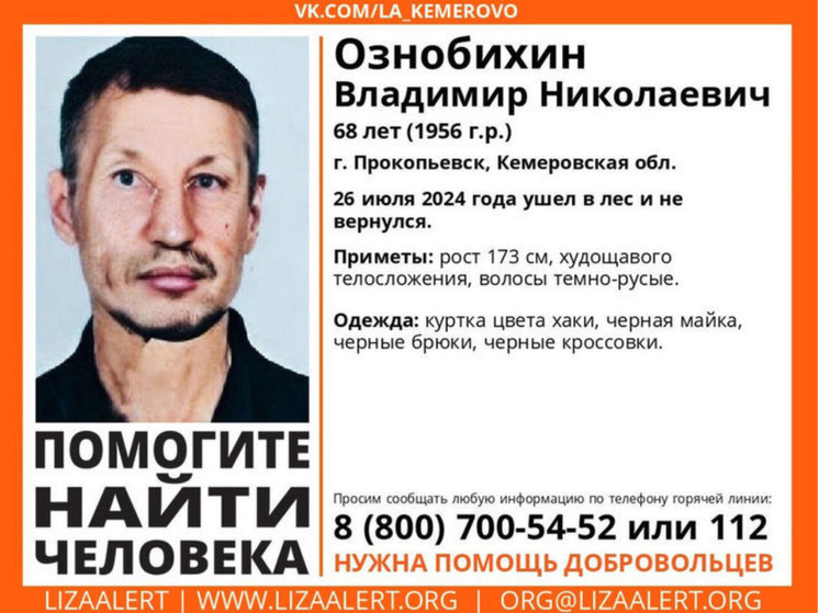 Полицейские организовали масштабные поиски пропавшего пенсионера в кузбасском лесу