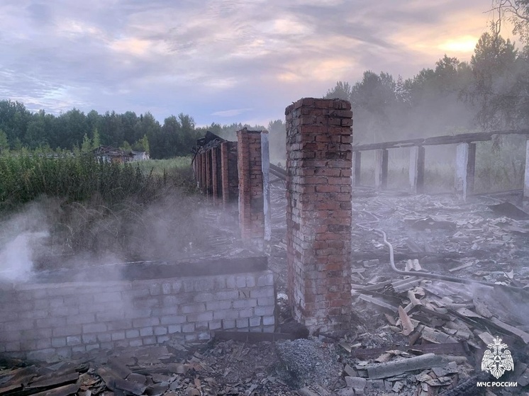 Крупный пожар на заброшенной ферме потушили череповецкие огнеборцы