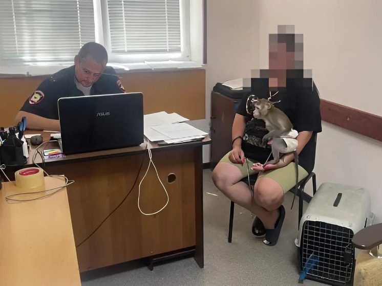 В Дивноморском пресекли деятельность незаконного фотографа с животными