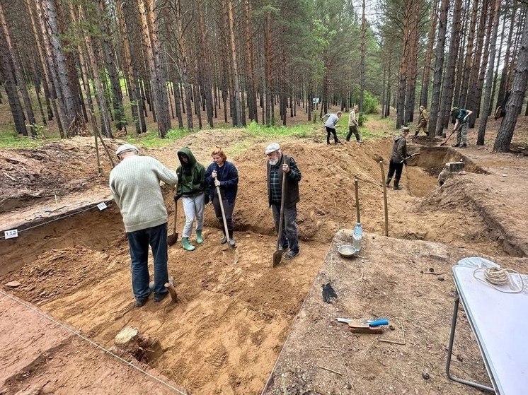 Более 500 артефактов древних людей нашли студенты-археологи в Забайкалье