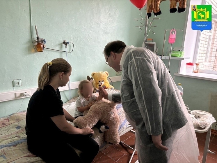 Стало известно о состоянии потерявшейся в Плесецком округе девочке-двухлетке