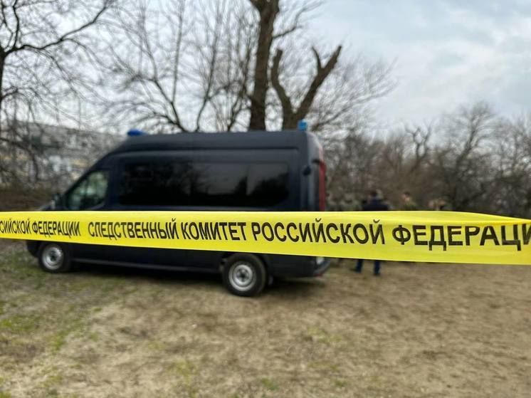 Следком: в Краснодаре нетрезвая женщина до смерти избила знакомую из-за подозрений в связи со своим супругом