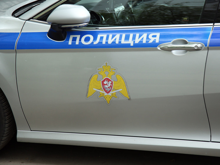 Двое злоумышленников похитили девушку в Королеве