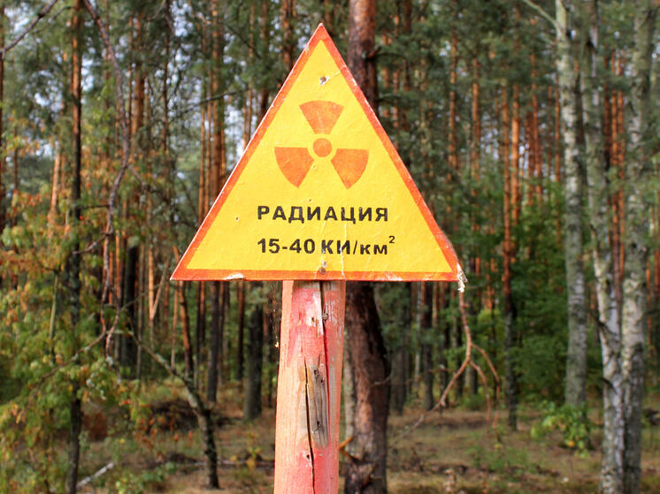  Удар по АЭС планировался с территории Литвы