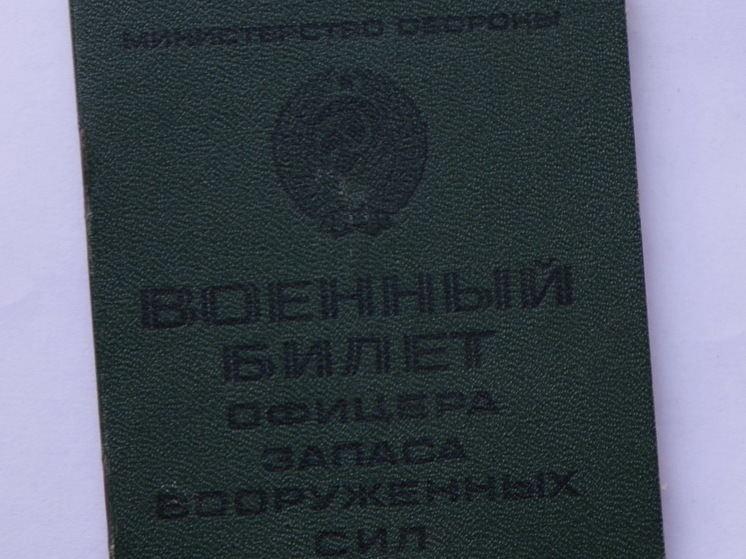 Депутат Колесник высказался о судьбе отсрочки от мобилизации для многодетных отцов