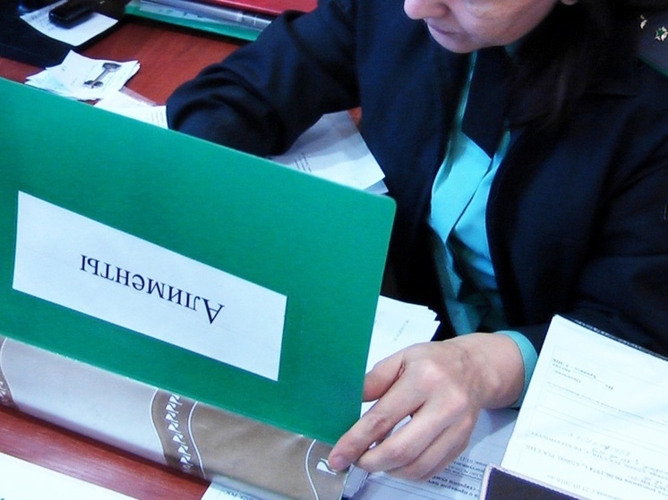 Нерадивого отца из Тульской области отправили на исправительные работы
