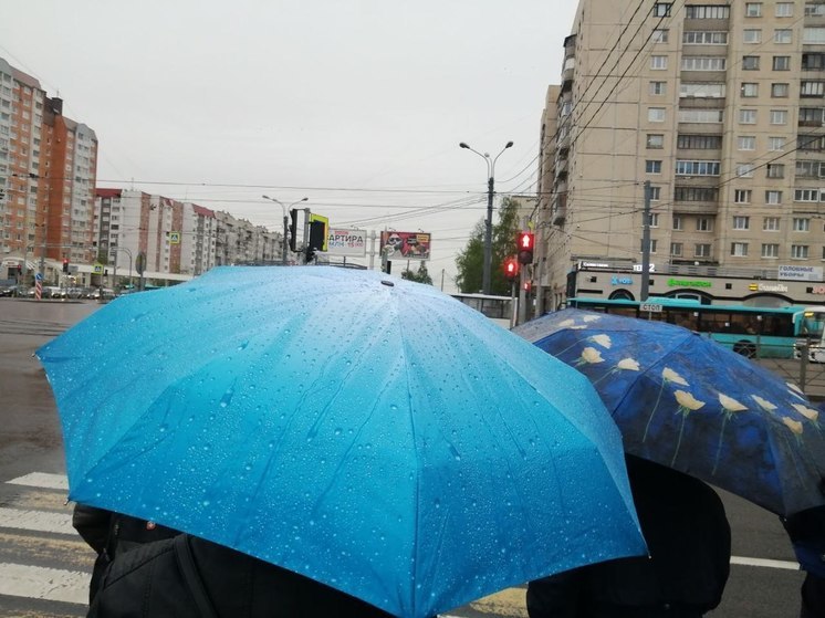 В первый день августа в Ленобласти ожидаются ливни и грозы