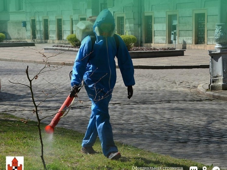 В Советске проведут акарицидную обработку