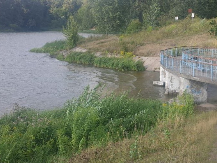 Курское МЧС сообщило новые подробности трагедии на водохранилище в Железногорске