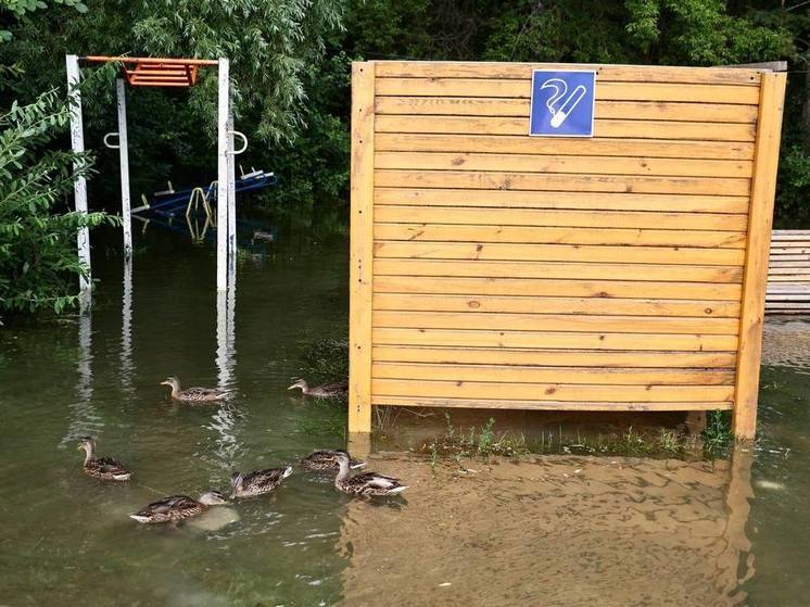 На Южном Урале подтопленными остаются 195 частных домов