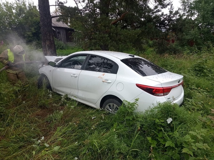 Водитель в Карелии влетел в дерево и бросил дымящийся автомобиль