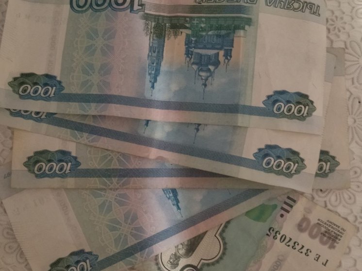 В Выборге возбуждено уголовное дело из-за невыплаты зарплаты работникам