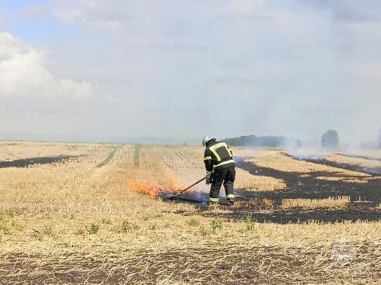 По факту горения стерни в Орловской области проводится расследование