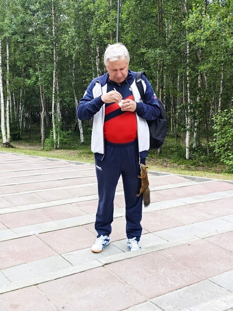 В Ноябрьске наглая белка обшарила карманы представителя главы ЯНАО