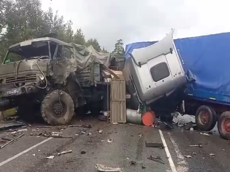 Два столкнувшихся грузовика парализовали движение на трассе «Москва-Челябинск»
