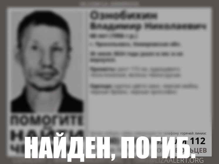 Бесследно пропавшего в лесу 68-летнего мужчину нашли погибшим