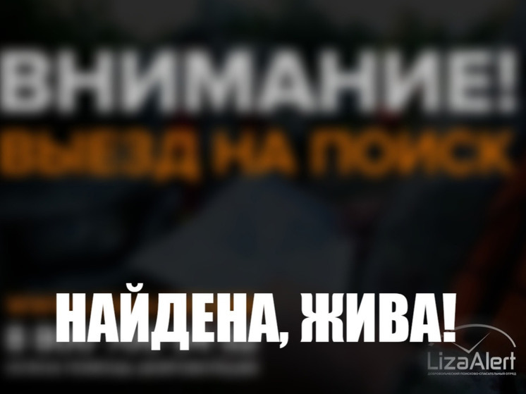 Костромские полицейские и волонтеры сутки искали пожилую любительницу тихой охоты