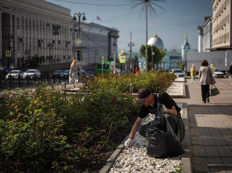 Мэра Курска возмутило некачественное озеленение города