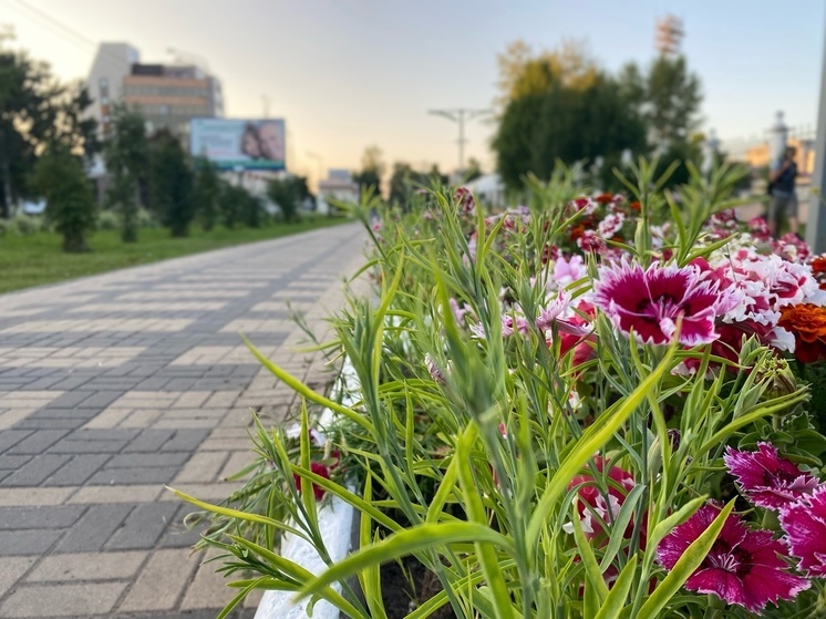 В Архангельске официально закончился сезон белых ночей
