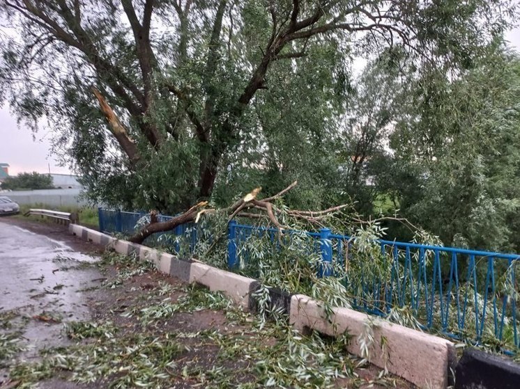В Чувашии объявлен «желтый» уровень опасности из-за сильного ветра