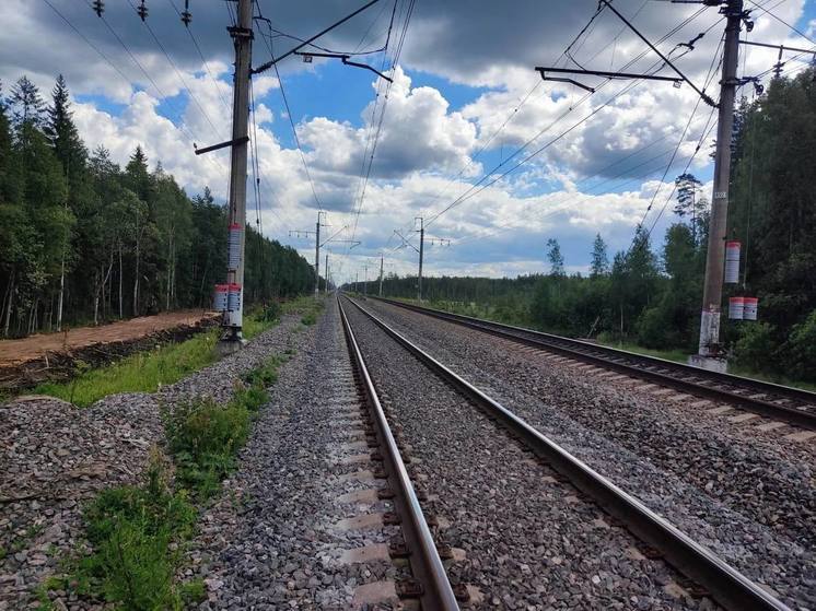 Молодой петербуржец избил машиниста электровоза после замечания