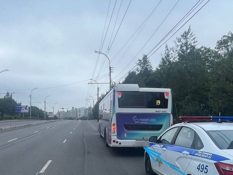 Поездка в автобусе обернулась травмами для северянки