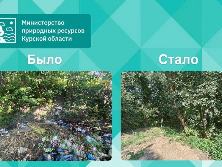 Курский суд обязал чиновников ликвидировать свалку в Большесолдатском районе