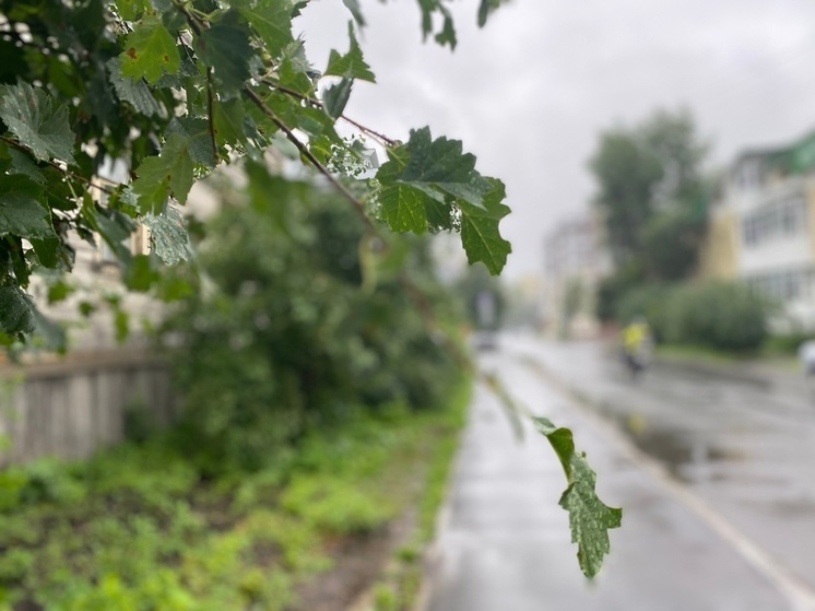 Жителей Поморья ждут дождливые выходные