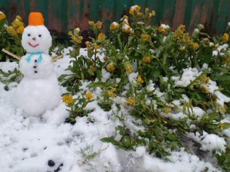 В пятницу на востоке Чукотка возможны дожди со снегом