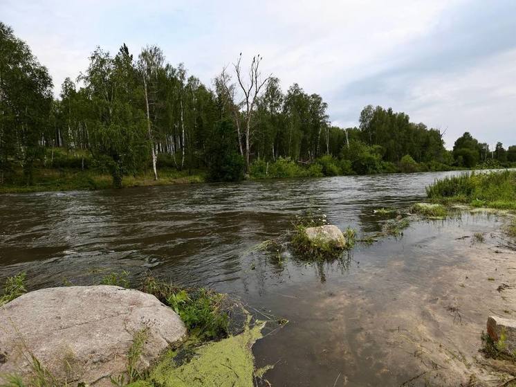 В городе-спутнике миллионного Челябинска введен режим ЧС