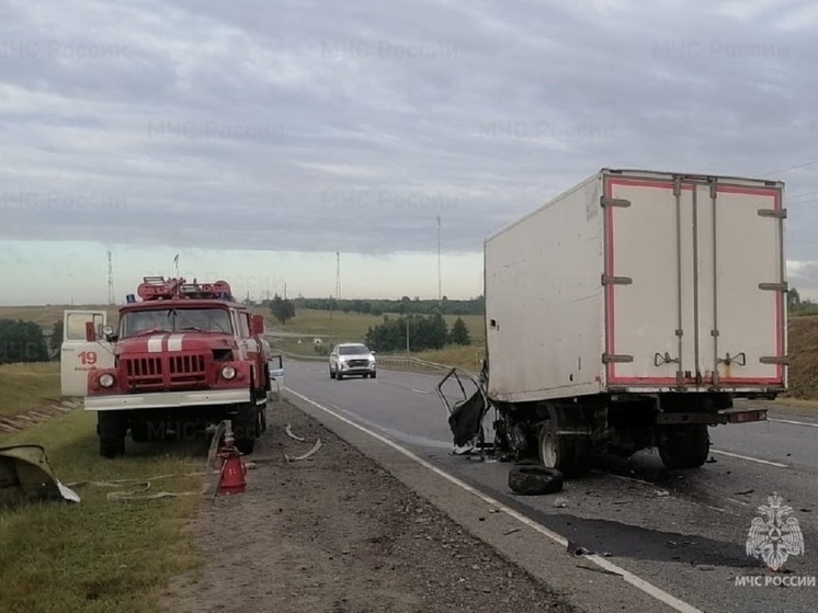 Несколько человек пострадали в ДТП с грузовой «Газелью» в Калужской области